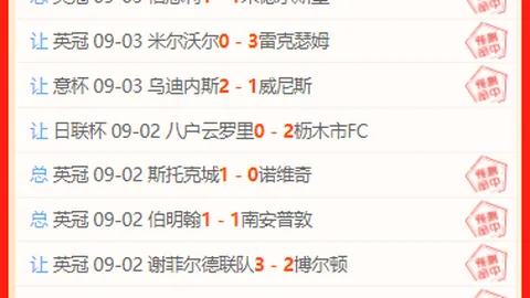 首席财务官透露新葡京：首批发运的星舰升级版卫星将助力收入增长，2026最新卫星技术